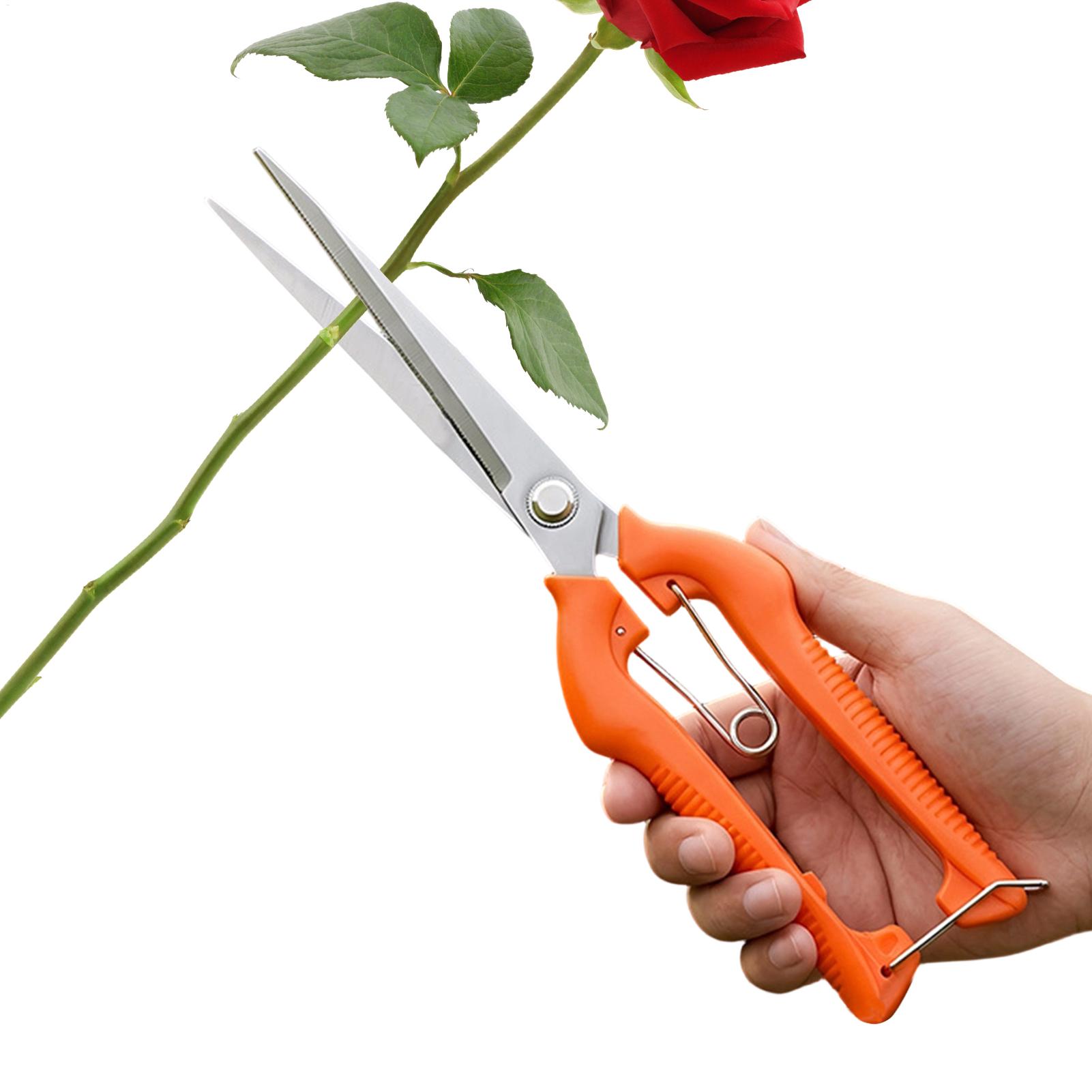 Bonsai Garden Knife - Новые профессиональные садовые ножницы для обрезки