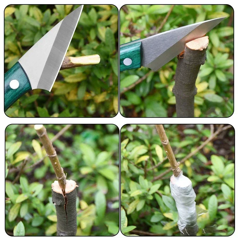 Bonsai Garden Knife - Нож для прививки из нержавеющей стали