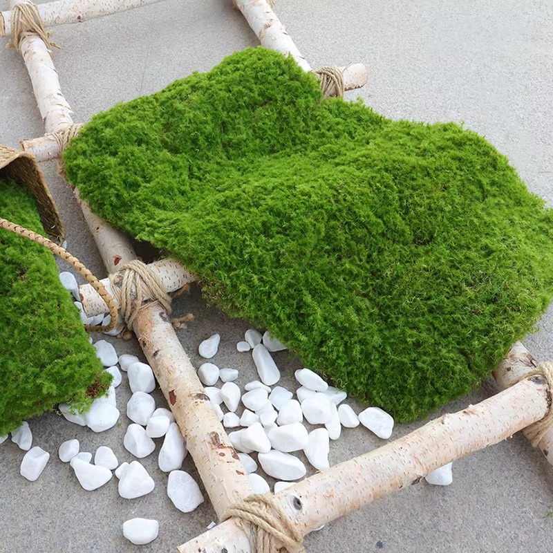Bonsai Garden Shop - Коврик из искусственной травы, зеленый ковер