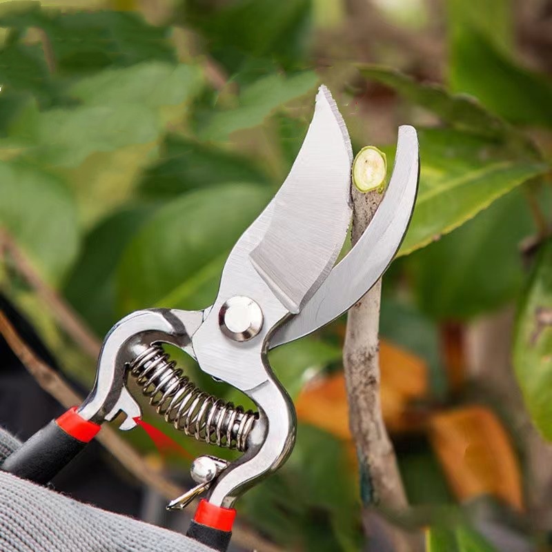 Садовые ножницы-секаторы для п – обзор и цена Bonsai Garden Knife