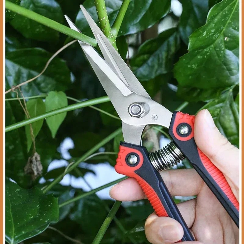 Секатор NEWSHARK из нержавеюще – обзор и цена Bonsai Garden Knife