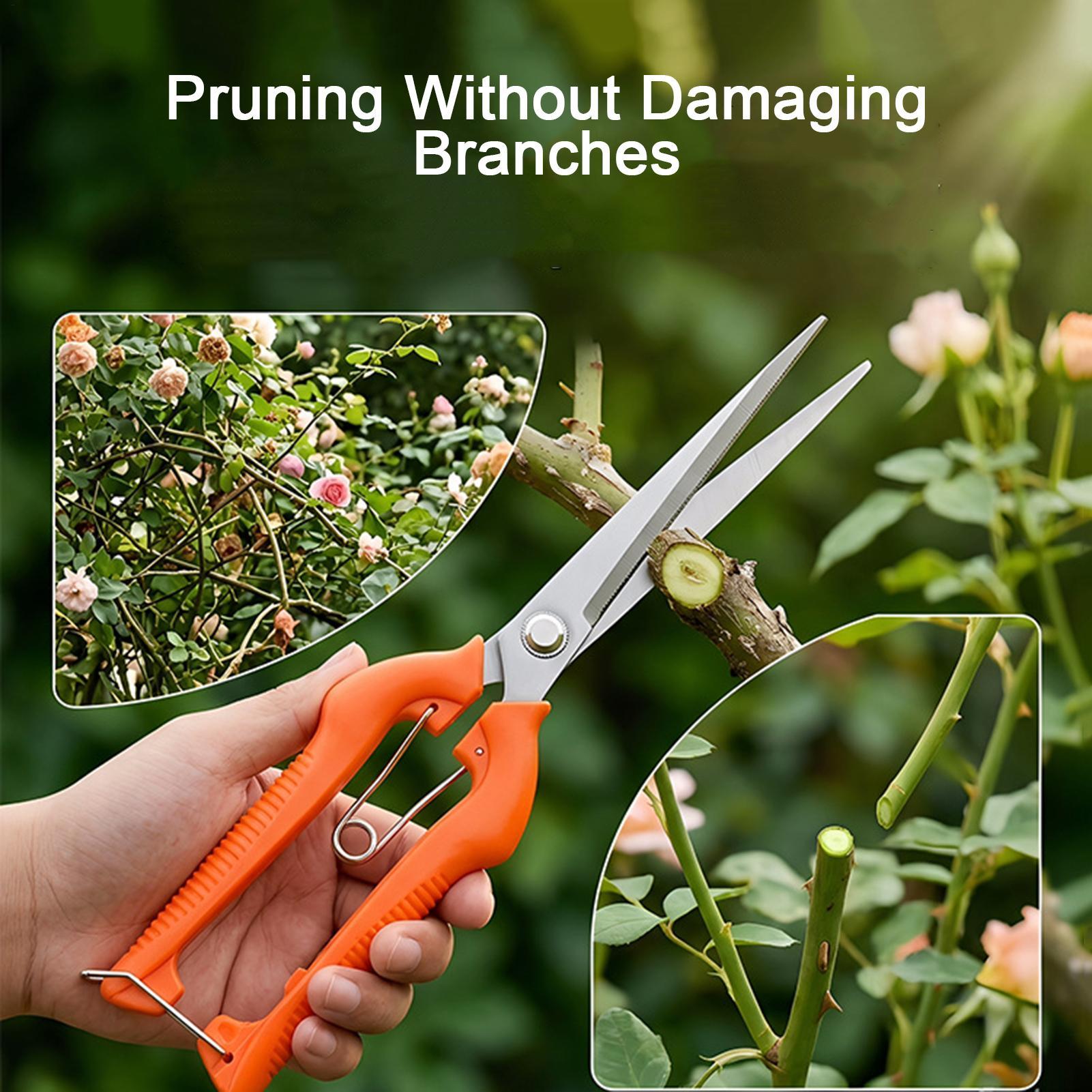 Новые профессиональные садовые – обзор и цена Bonsai Garden Knife