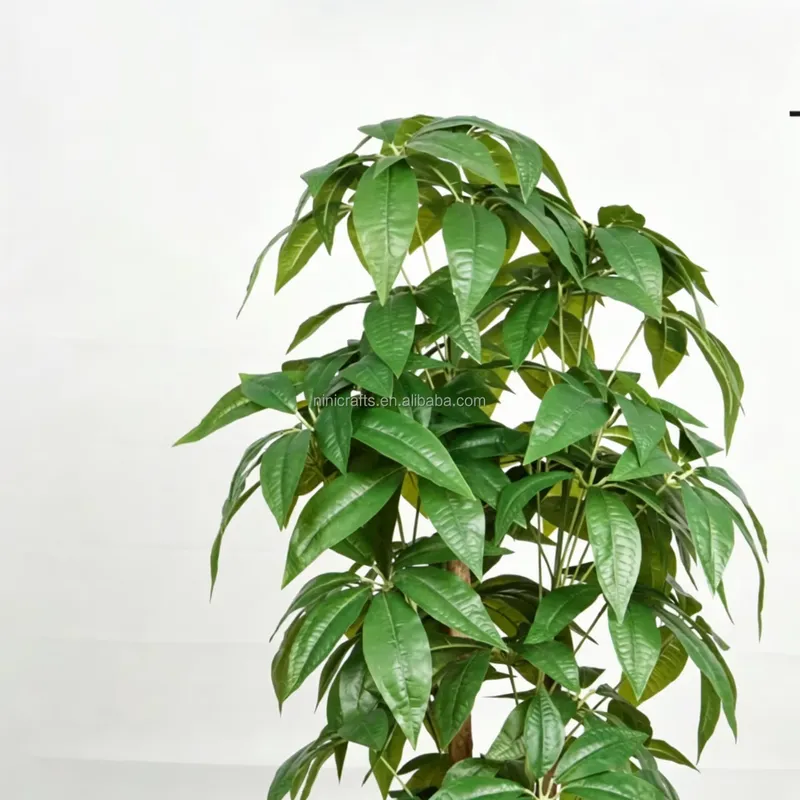 Горячая распродажа: Искусствен – обзор и цена Bonsai Garden For Sale