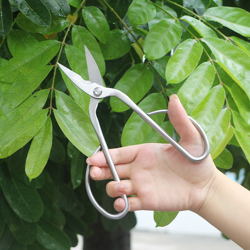 Цельнометаллические садовые но – обзор и цена Concave Branch Cutter