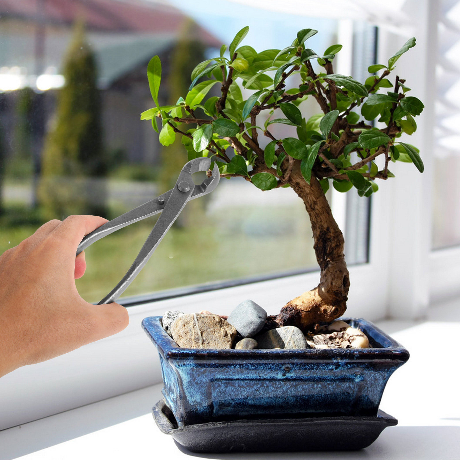 Ножницы для обрезки бонсай из  – обзор и цена Bonsai Garden Knife