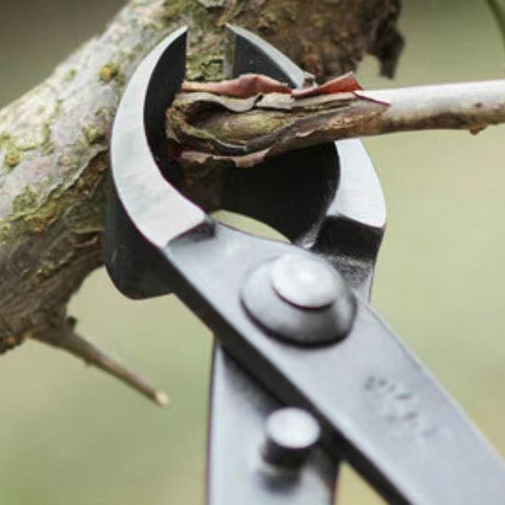 Резак для вогнутых ветвей бонс – обзор и цена Concave Branch Cutter