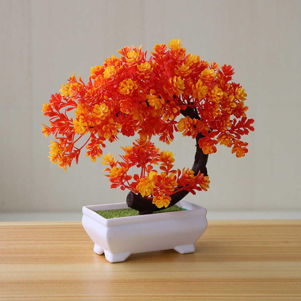 Пластиковое украшение в виде б – обзор и цена Bonsai Garden For Desk