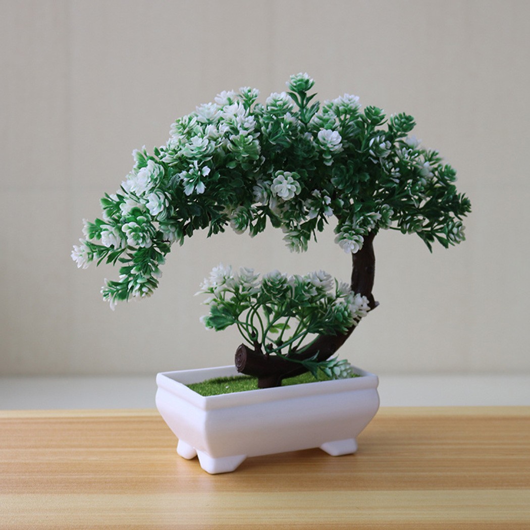 Пластиковое украшение в виде б – обзор и цена Bonsai Garden For Desk