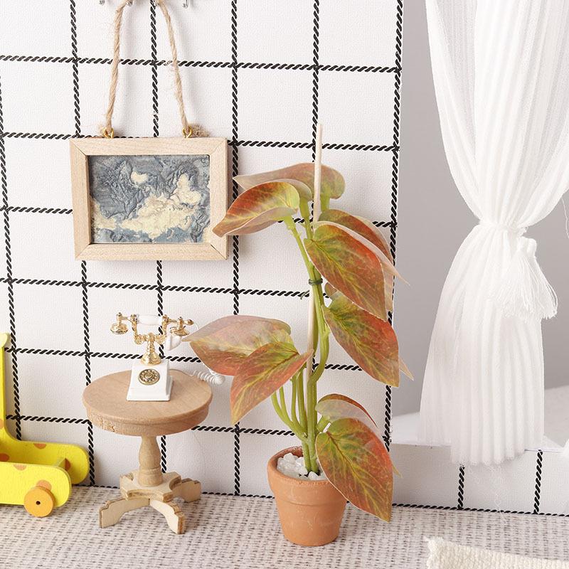 Горячая распродажа: Модель зел – обзор и цена Bonsai Garden For Sale