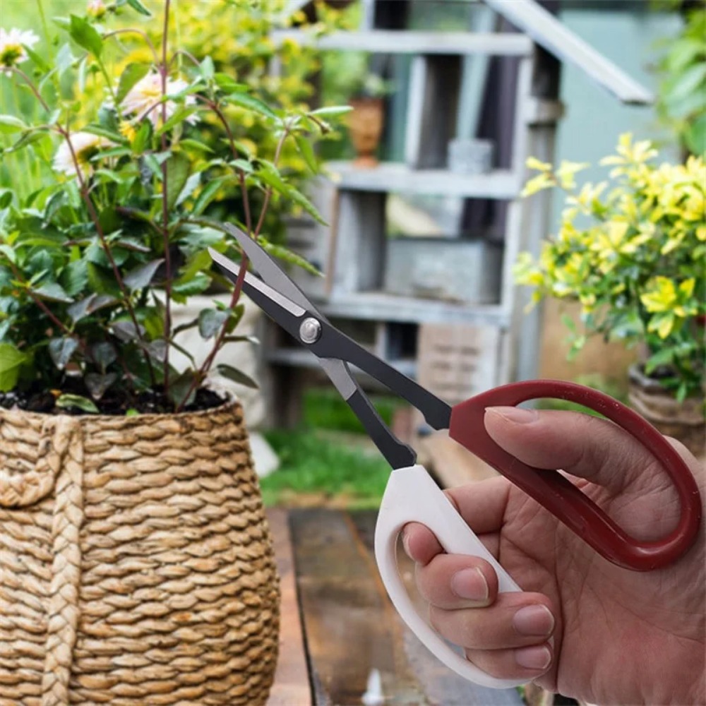Инструмент для бонсай, ножницы – обзор и цена Bonsai Garden Knife