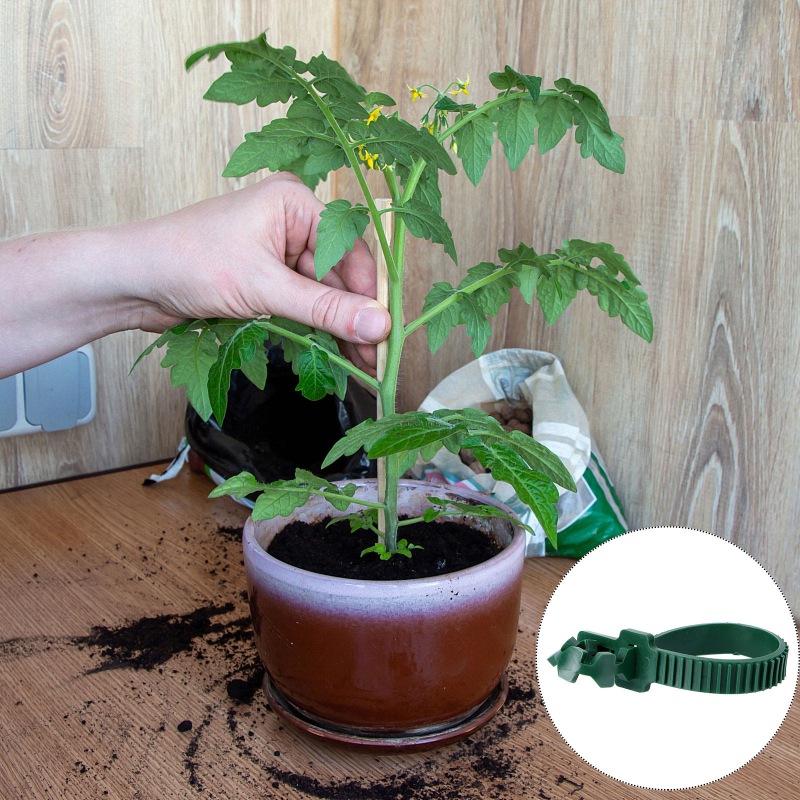 20 шт. зажимов для фиксации ра – обзор и цена Bonsai Garden Tree