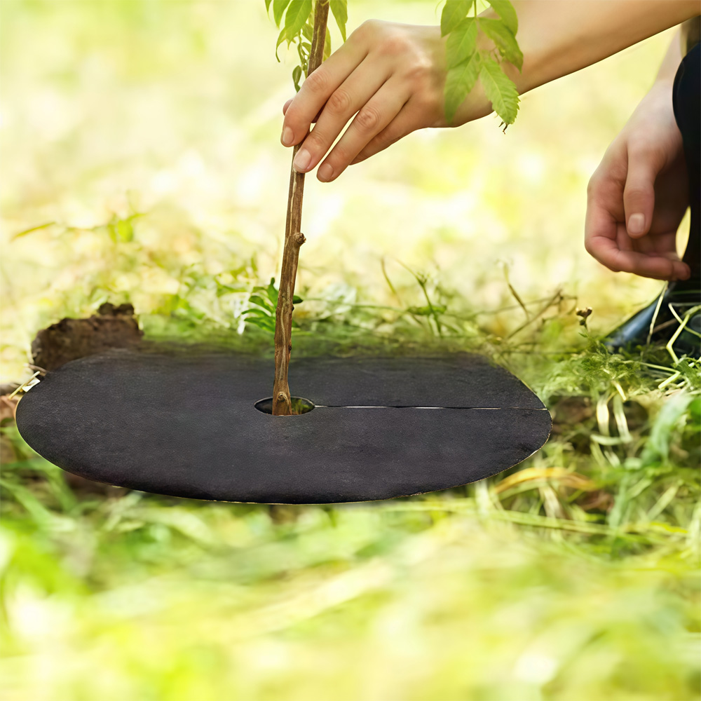Нетканый мульчирующий кольцево – обзор и цена Bonsai Garden Tree