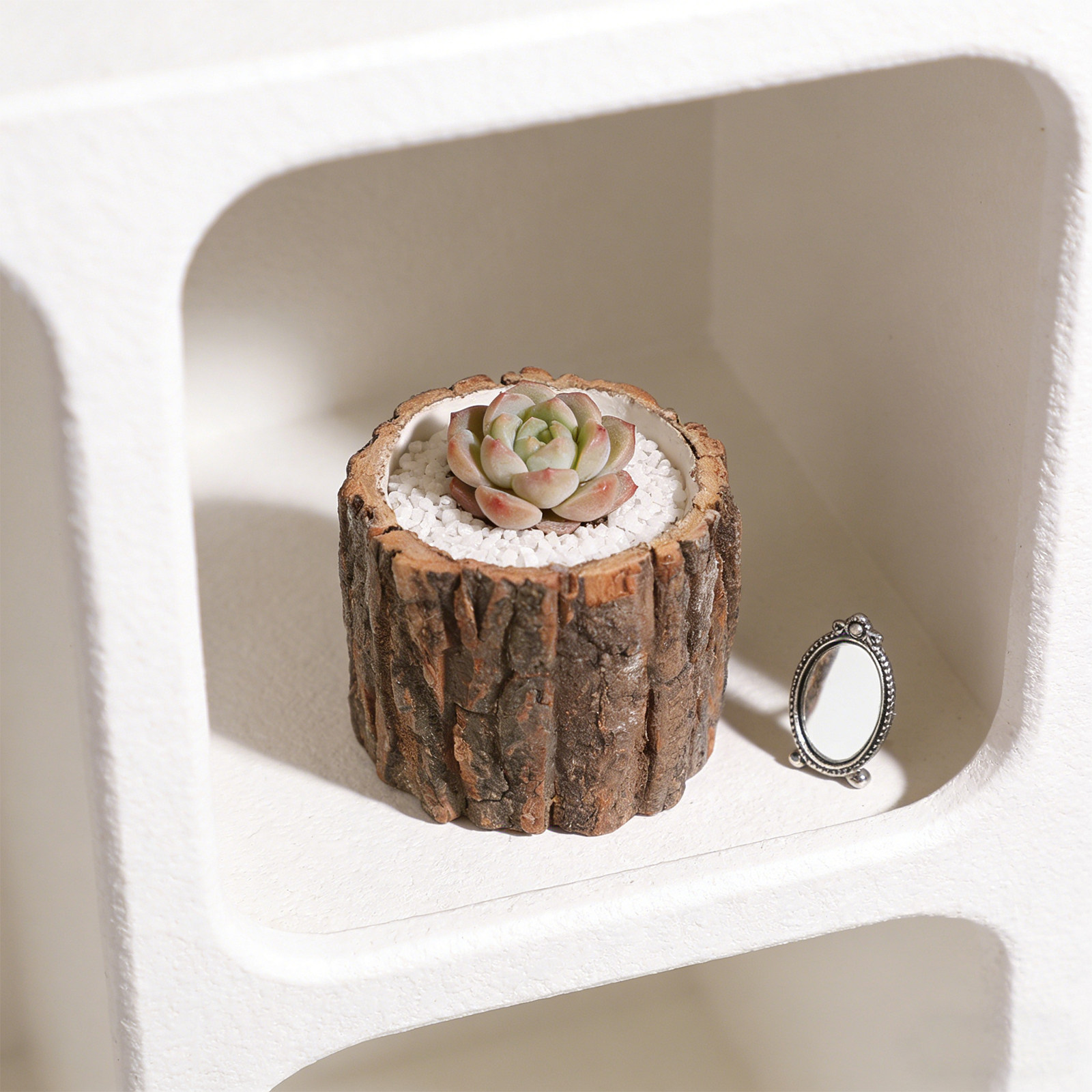 Имитация деревянного пня: мини – обзор и цена Bonsai Garden For Desk
