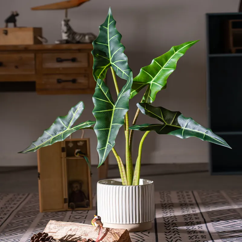 Горячая распродажа: Маленькие  – обзор и цена Bonsai Garden For Sale