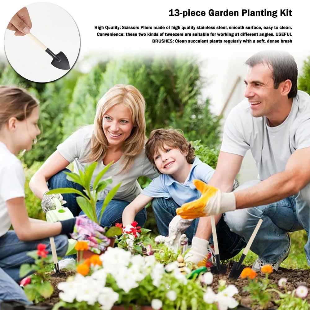 Инструменты для суккулентов, м – обзор и цена Bonsai Garden Tools