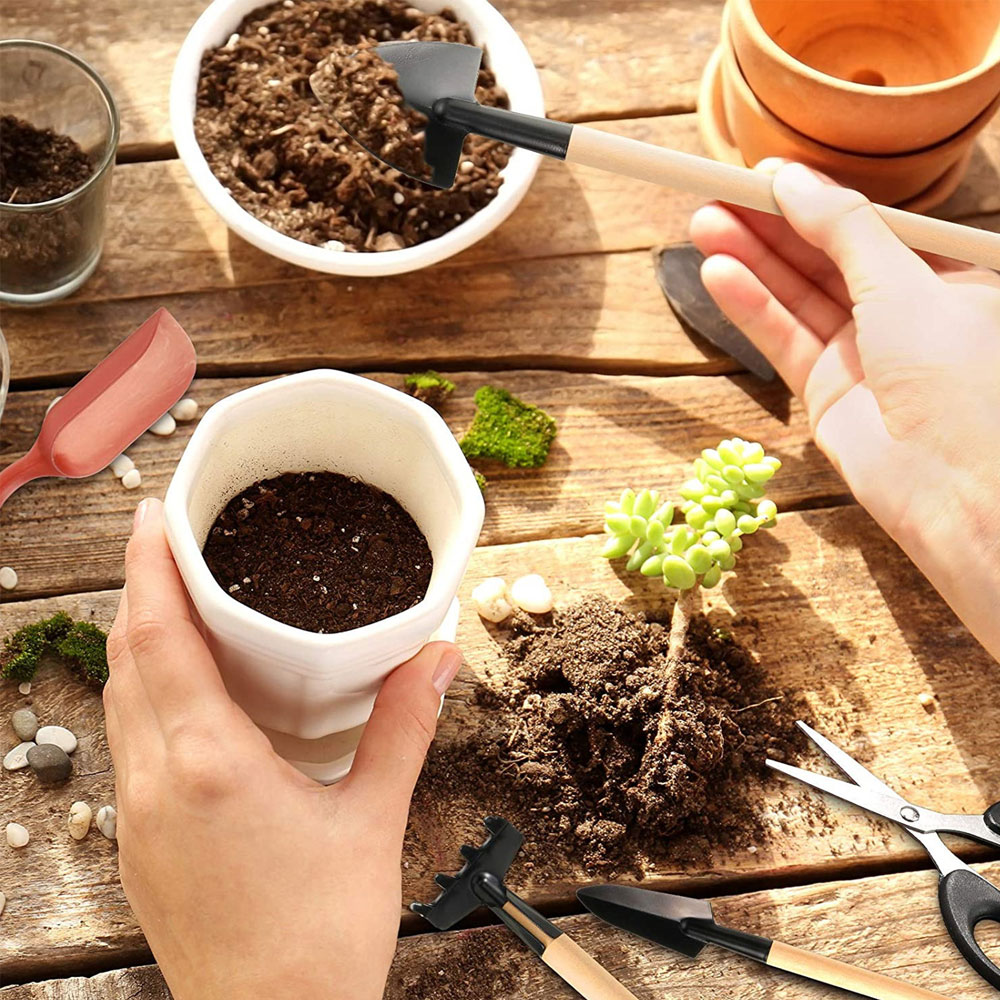 Инструменты для суккулентов, м – обзор и цена Bonsai Garden Tools
